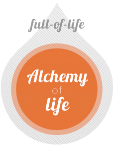 Alchemy of Life - Training